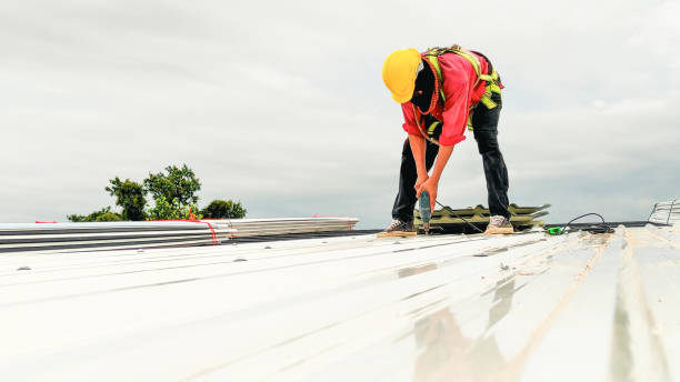 Best Rubber Roofing (EPDM, TPO)  in Erie, PA